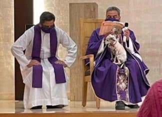 Padre celebra missa com seu cachorro doente no colo para não deixá-lo sozinho.