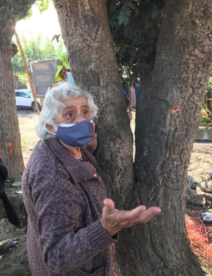 contioutra.com - Mulher de 80 anos se agarra a uma árvore para evitar que ela seja cortada.