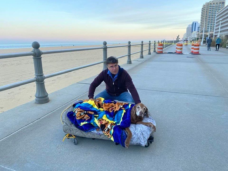 contioutra.com - Família constrói caminha especial para levar cachorrinha idosa à praia por uma última vez