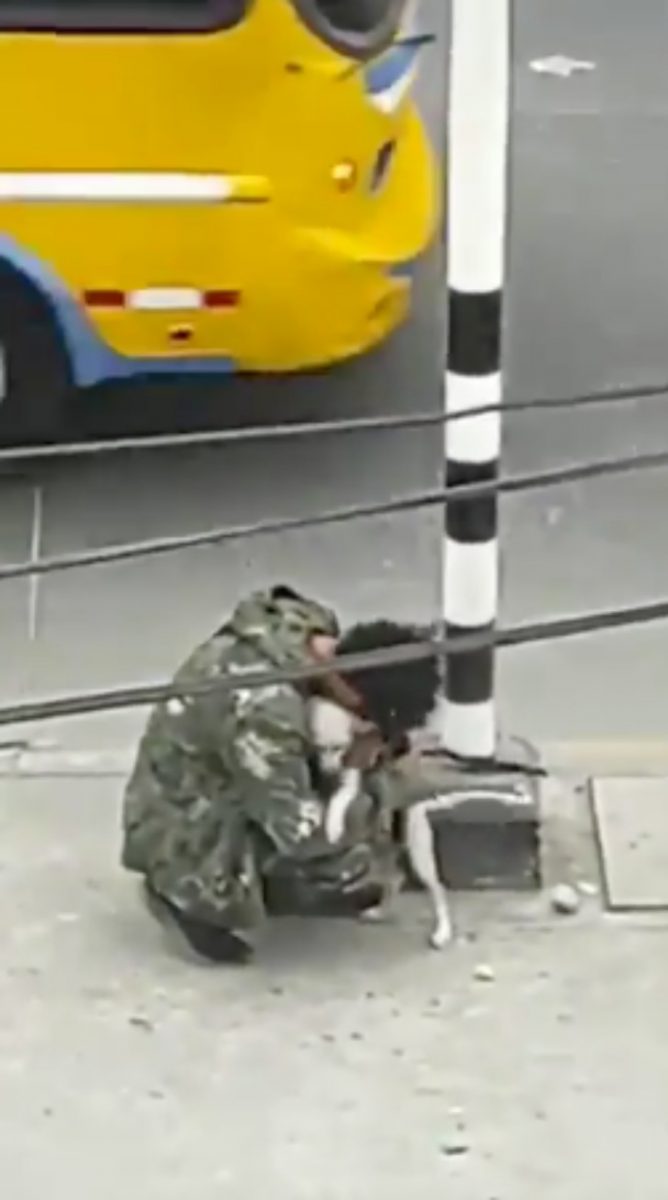 contioutra.com - Vídeo comovente mostra artista de rua se consolando com vira-lata após ser ignorado no semáforo
