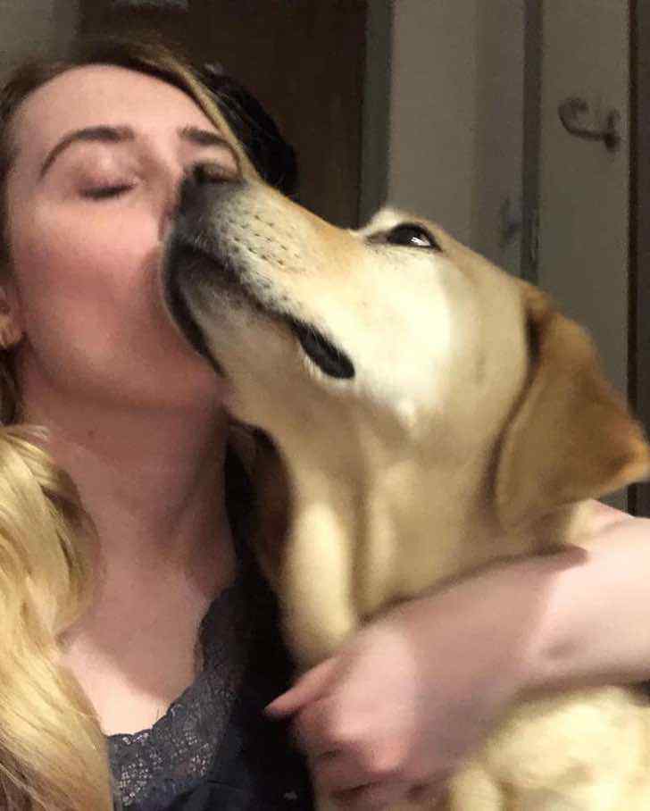 contioutra.com - Mulher se reencontra com seu cão-guia após passar 213 dias separados, eles se complementam!