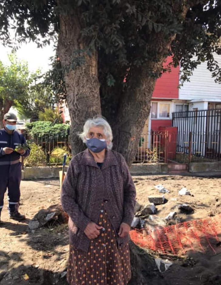 contioutra.com - Mulher de 80 anos se agarra a uma árvore para evitar que ela seja cortada.