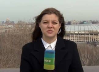 Cachorro brincalhão rouba microfone de repórter durante transmissão ao vivo