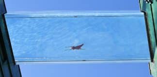 Piscina suspensa de 25 metros permite que banhistas nadem entre um prédio e outro