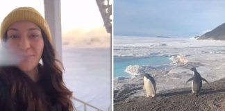 Assim é a vida na Antártida: jovem mostra no TikTok como é o dia-a-dia no frio do Pólo Sul