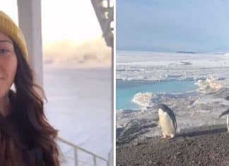 Assim é a vida na Antártida: jovem mostra no TikTok como é o dia-a-dia no frio do Pólo Sul