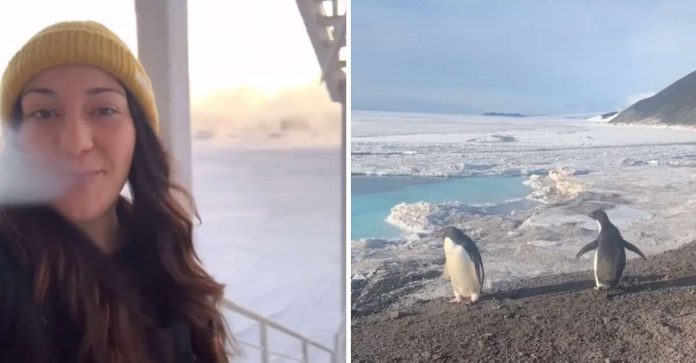 Assim é a vida na Antártida: jovem mostra no TikTok como é o dia-a-dia no frio do Pólo Sul