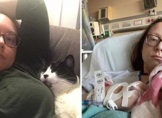Mulher diz que sobreviveu ao câncer de mama graças ao seu gato.