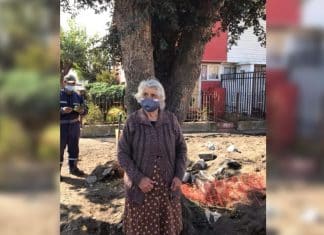 Mulher de 80 anos se agarra a uma árvore para evitar que ela seja cortada.