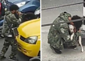 Vídeo comovente mostra artista de rua se consolando com vira-lata após ser ignorado no semáforo