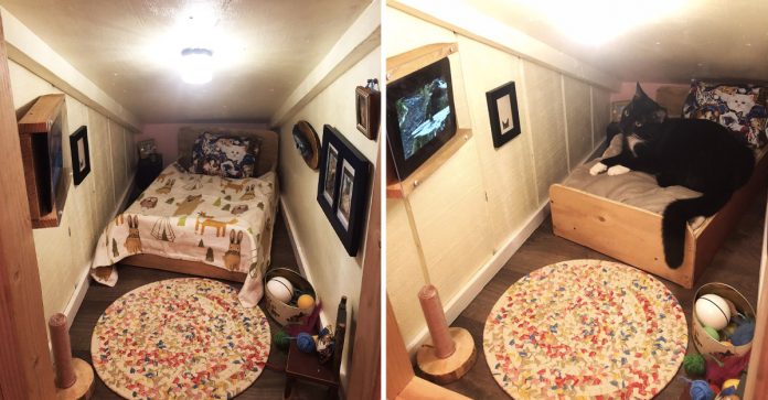 Casal constrói mini quarto incrível com TV e cama para seu gatinho, o resultado é cômico!