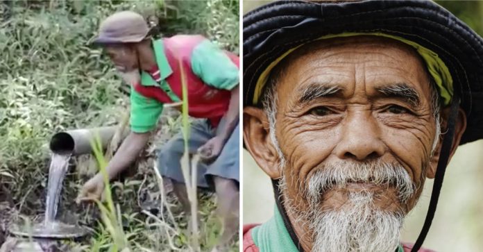 Homem de 68 anos plantou mais de 11 mil árvores na Indonésia, fez de tudo para reverter a seca.