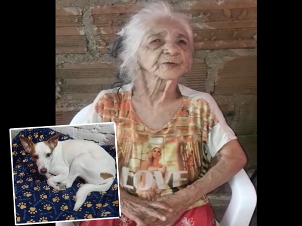 contioutra.com - Vovó de 92 anos se emociona ao reencontrar seu cãozinho perdido. "Ele é como meu filho"