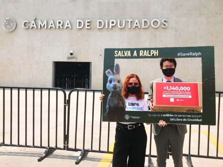 contioutra.com - Após campanha 'Salve o Ralph', México proíbe testes em animais