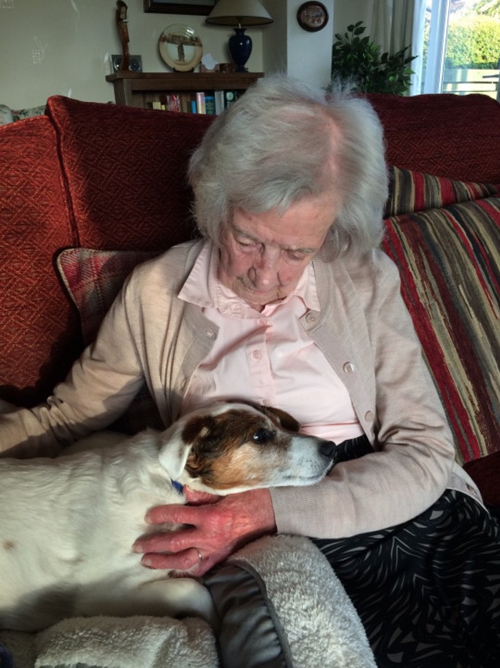 contioutra.com - Perfeitos um para o outro: Aos 96, vovó adota cão de 17 anos.