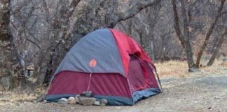 Mulher é encontrada vivendo em área selvagem depois de passar 5 meses desaparecida