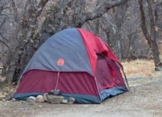 Mulher é encontrada vivendo em área selvagem depois de passar 5 meses desaparecida