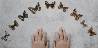 Pai em luto vê mensagem da filha em visita de borboleta em seu jardim e adota missão de vida Pai em luto vê mensagem da filha em visita de borboleta em seu jardim e adota missão de vida