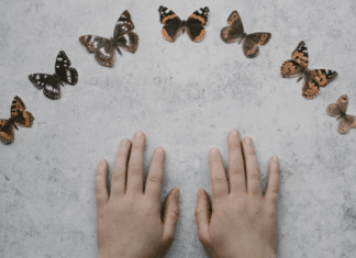 Pai em luto vê mensagem da filha em visita de borboleta em seu jardim e adota missão de vida