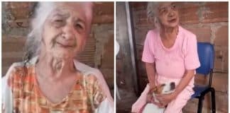 Vovó de 92 anos se emociona ao reencontrar seu cãozinho perdido. “Ele é como meu filho”