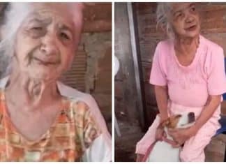 Vovó de 92 anos se emociona ao reencontrar seu cãozinho perdido. “Ele é como meu filho”