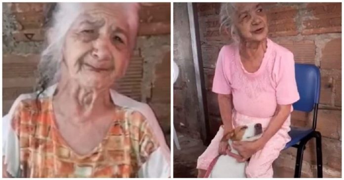 Vovó de 92 anos se emociona ao reencontrar seu cãozinho perdido. “Ele é como meu filho”