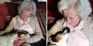 Perfeitos um para o outro: Aos 96, vovó adota cão de 17 anos.