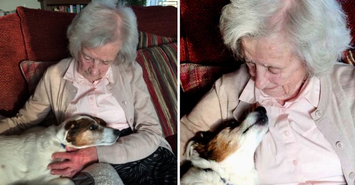 Perfeitos um para o outro: Aos 96, vovó adota cão de 17 anos.
