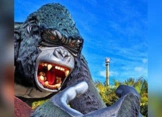 Menino que caiu de atração do Beto Carrero apresenta ‘pouca sequela neurológica’