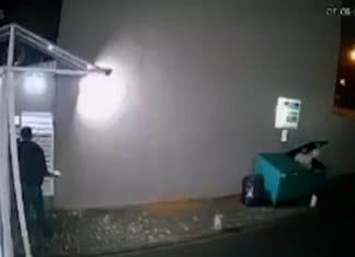 Homem em situação de rua entra em caçamba para se proteger do frio e surpreende “vizinho”