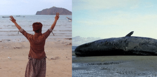 Conheça a história dos pescadores que encontraram uma fortuna dentro de uma baleia