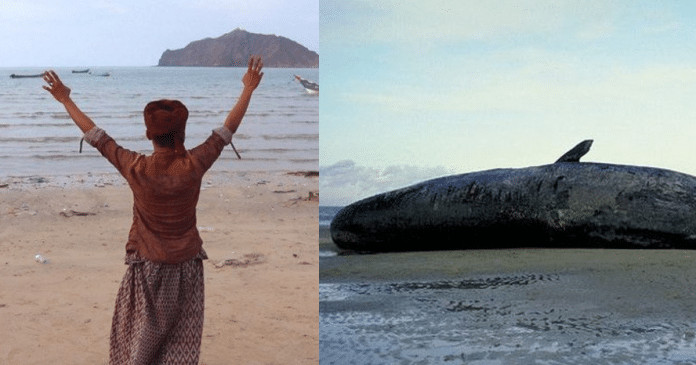 Conheça a história dos pescadores que encontraram uma fortuna dentro de uma baleia