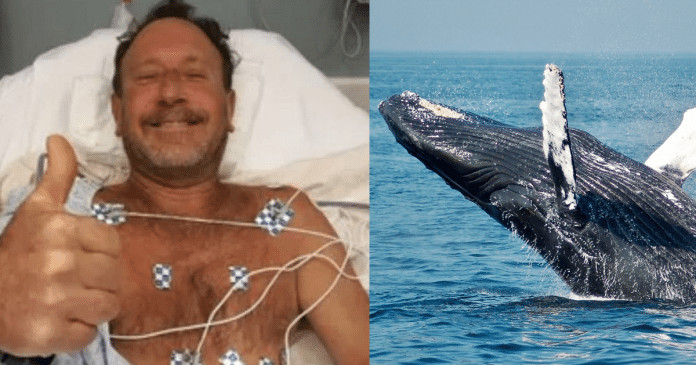 Pescador é engolido por baleia jubarte e sobrevive: “Nem acredito”.