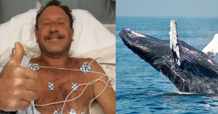 Pescador é engolido por baleia jubarte e sobrevive: “Nem acredito”.