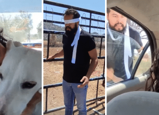 Mulher ‘abandona’ noivo para que ele sinta o mesmo de cadelinha que abandonou