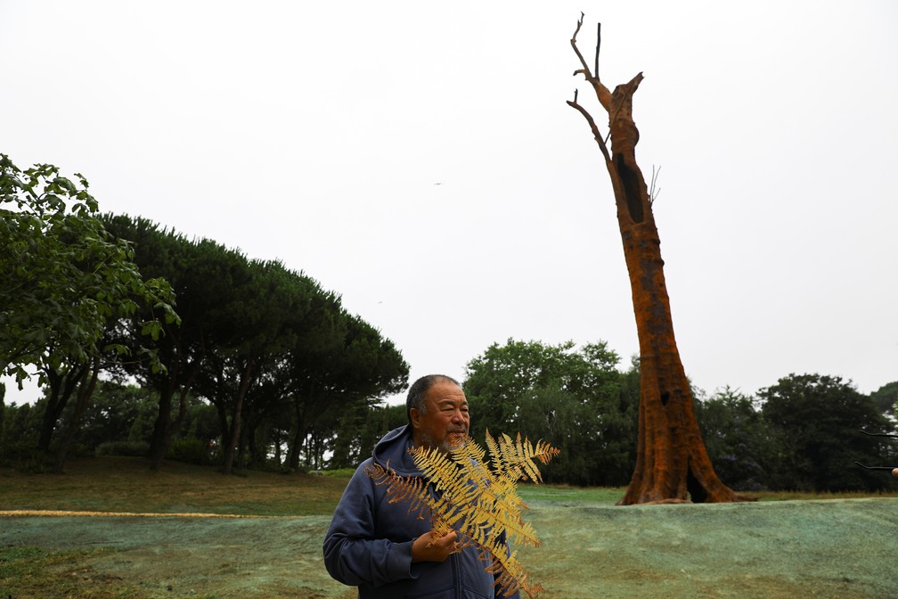 contioutra.com - Artista chinês reproduz com ferro árvore brasileira ameaçada e passa uma mensagem importante