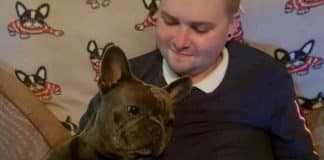 Cachorro falece apenas quinze minutos depois de seu amado dono