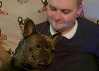 Cachorro falece apenas quinze minutos depois de seu amado dono