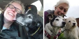 Mulher cria “asilo” para animais idosos passarem seus últimos dias Mulher cria “asilo” para animais idosos passarem seus últimos dias