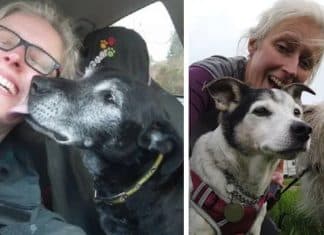 Mulher cria “asilo” para animais idosos passarem seus últimos dias