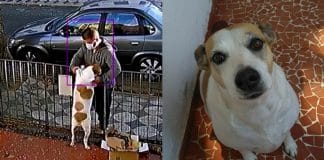 Homem é flagrado roubando roupa de cachorrinha. Veja o vídeo!