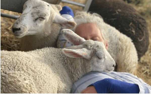 contioutra.com - Mulher cria &ldquo;asilo&rdquo; para animais idosos passarem seus &uacute;ltimos dias