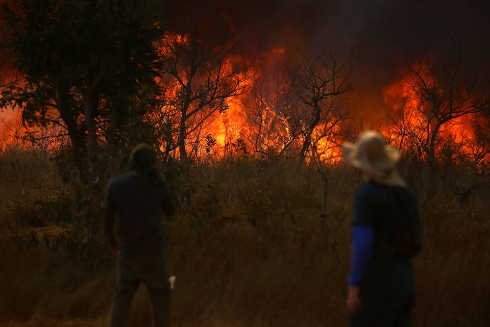 contioutra.com - Guarda chora com morte dos animais em incêndio no Parque Juquery: “A gente escuta o grito”