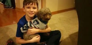 Menino escolhe adotar cão já velhinho e com necessidades especiais para lhe dar um fim de vida feliz Menino escolhe adotar cão já velhinho e com necessidades especiais para lhe dar um fim de vida feliz