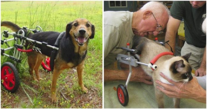 Veterinário aposentado de 92 anos dedica sua vida a fazer cadeiras de rodas para animais com deficiência