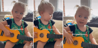 Alice, garotinha que fez sucesso por “falar difícil”, aparece cantando Alceu Valença; assista