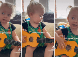 Alice, garotinha que fez sucesso por “falar difícil”, aparece cantando Alceu Valença; assista