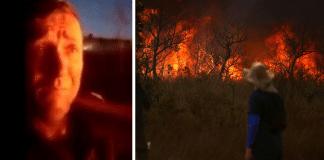 Guarda chora com morte dos animais em incêndio no Parque Juquery: “A gente escuta o grito”