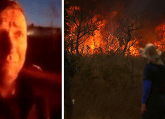 Guarda chora com morte dos animais em incêndio no Parque Juquery: “A gente escuta o grito”