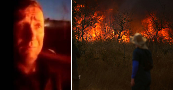 Guarda chora com morte dos animais em incêndio no Parque Juquery: “A gente escuta o grito”